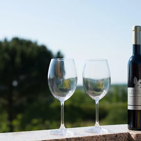 Apartment Irena Porec